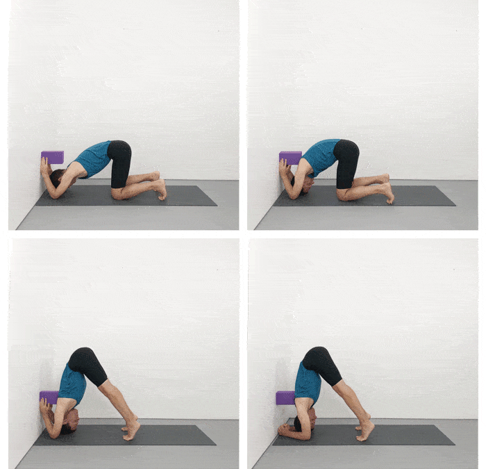 Iyengar Yoga Preparation for Headstand (Sirsasana)