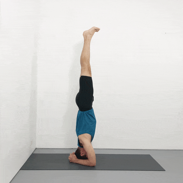 Salamba Sirsasana iyengar yoga sequence