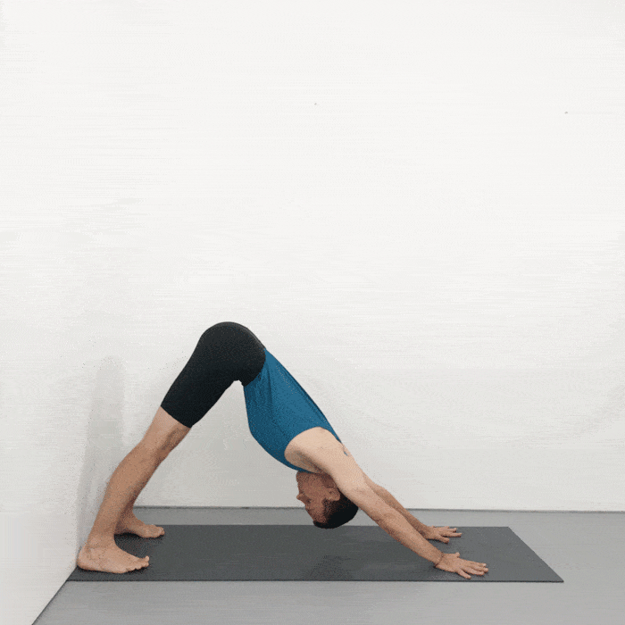 Adho Mukha Svanasana Iyengar yoga pose