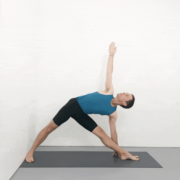 Trikonasana iyengar yoga pose
