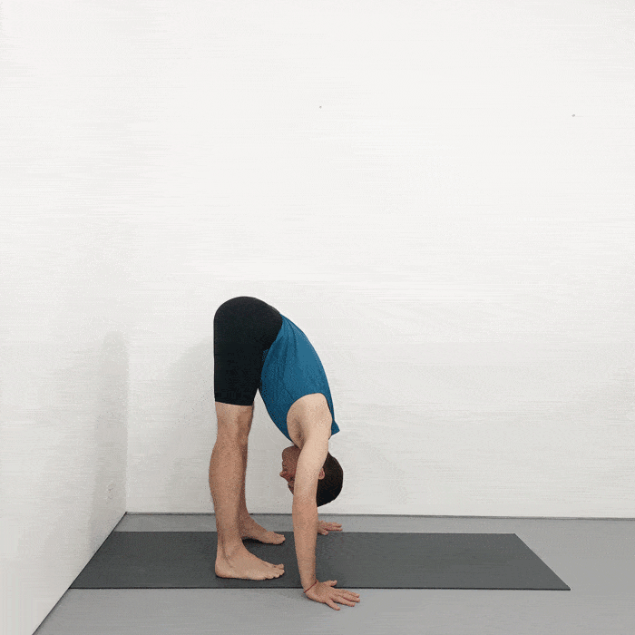 Uttanasana Iyengar Yoga pose