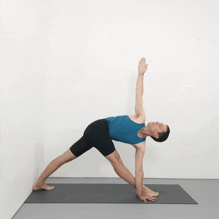Parivrtta Trikonasana iyengar yoga pose