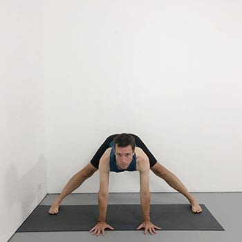 prasarita padottanasana beginner iyengar yoga pose
